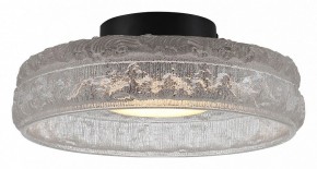 Накладной светильник ST-Luce ANTIKE SL6143.402.01 в Приобье - priobie.ok-mebel.com | фото 2