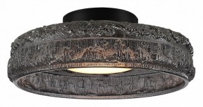Накладной светильник ST-Luce ANTIKE SL6143.412.01 в Приобье - priobie.ok-mebel.com | фото 2