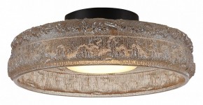 Накладной светильник ST-Luce ANTIKE SL6143.422.01 в Приобье - priobie.ok-mebel.com | фото 3