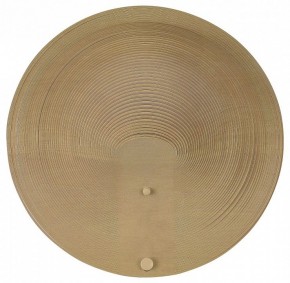 Накладной светильник ST-Luce Fossil SL6900.501.16 в Приобье - priobie.ok-mebel.com | фото