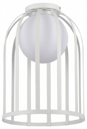 Накладной светильник ST-Luce Nordic SL6129.502.01 в Приобье - priobie.ok-mebel.com | фото