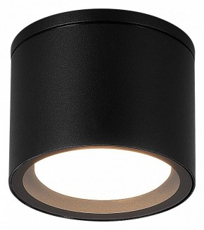 Накладной светильник ST-Luce Tubo SL9006.402.01 в Приобье - priobie.ok-mebel.com | фото 2