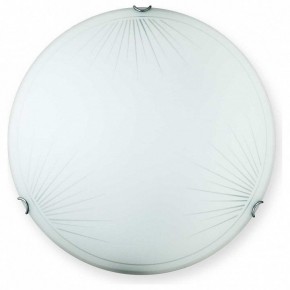 Накладной светильник TopLight Wifa TL9142Y-00WH в Приобье - priobie.ok-mebel.com | фото