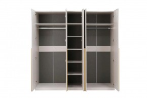 НИКОЛЬ 25 Шкаф 5-ти створчатый в Приобье - priobie.ok-mebel.com | фото 3