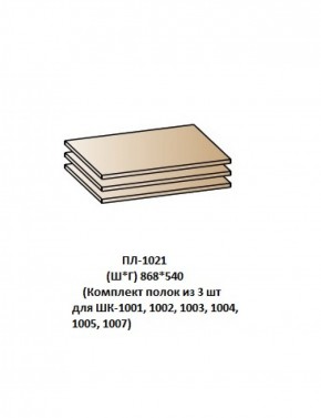 ПЛ-1021 (Комплект полок из 3 шт для ШК-1001, 1002, 1003, 1004, 1005, 1007) в Приобье - priobie.ok-mebel.com | фото
