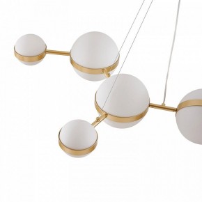 Подвесная люстра Favourite Asterismo 4448-8P в Приобье - priobie.ok-mebel.com | фото 7
