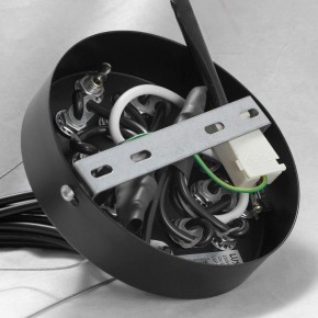 Подвесная люстра Lussole Seneca GRLSP-8177 в Приобье - priobie.ok-mebel.com | фото 10