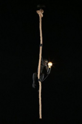 Подвесной светильник Aployt Magali APL.309.16.01 в Приобье - priobie.ok-mebel.com | фото 3