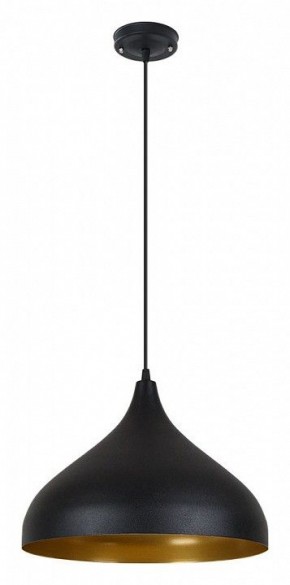 Подвесной светильник Arte Lamp Carmel A7076SP-1BK в Приобье - priobie.ok-mebel.com | фото 2