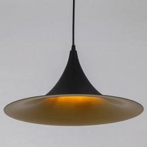 Подвесной светильник Arte Lamp Carmel A7080SP-1BK в Приобье - priobie.ok-mebel.com | фото