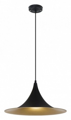 Подвесной светильник Arte Lamp Carmel A7080SP-1BK в Приобье - priobie.ok-mebel.com | фото 2