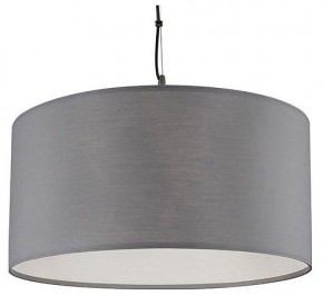 Подвесной светильник Arte Lamp Coppa A4095SP-3GY в Приобье - priobie.ok-mebel.com | фото