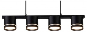 Подвесной светильник Arte Lamp Legacy A8024SP-4BK в Приобье - priobie.ok-mebel.com | фото