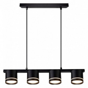Подвесной светильник Arte Lamp Legacy A8024SP-4BK в Приобье - priobie.ok-mebel.com | фото 2