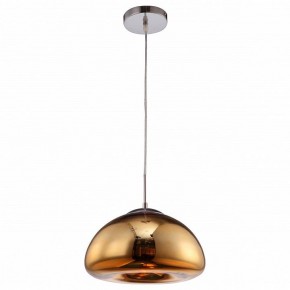 Подвесной светильник Arte Lamp Swift A8041SP-1GO в Приобье - priobie.ok-mebel.com | фото 2