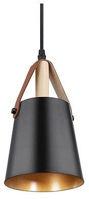 Подвесной светильник Arte Lamp Thomas A7032SP-1BK в Приобье - priobie.ok-mebel.com | фото