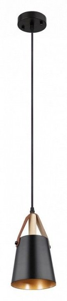 Подвесной светильник Arte Lamp Thomas A7032SP-1BK в Приобье - priobie.ok-mebel.com | фото 2