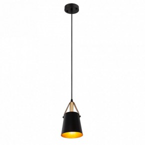 Подвесной светильник Arte Lamp Thomas A7032SP-1BK в Приобье - priobie.ok-mebel.com | фото 3