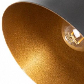 Подвесной светильник Arte Lamp Thomas A7032SP-1BK в Приобье - priobie.ok-mebel.com | фото 5