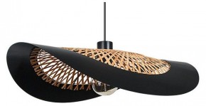 Подвесной светильник Arte Lamp Woodstock A7059SP-1BK в Приобье - priobie.ok-mebel.com | фото