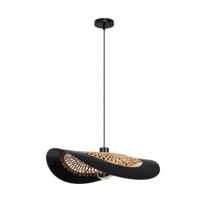 Подвесной светильник Arte Lamp Woodstock A7059SP-1BK в Приобье - priobie.ok-mebel.com | фото 2