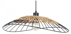 Подвесной светильник Arte Lamp Woodstock A7061SP-1BK в Приобье - priobie.ok-mebel.com | фото