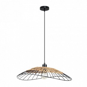 Подвесной светильник Arte Lamp Woodstock A7061SP-1BK в Приобье - priobie.ok-mebel.com | фото 2