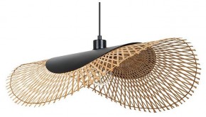 Подвесной светильник Arte Lamp Woodstock A7063SP-1BK в Приобье - priobie.ok-mebel.com | фото