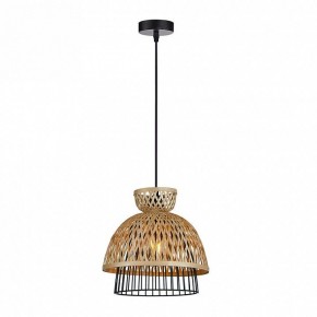 Подвесной светильник Arte Lamp Woodstock A7070SP-1BK в Приобье - priobie.ok-mebel.com | фото