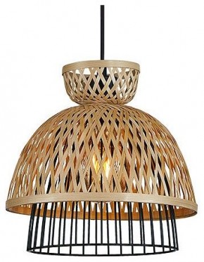 Подвесной светильник Arte Lamp Woodstock A7070SP-1BK в Приобье - priobie.ok-mebel.com | фото 2