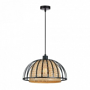 Подвесной светильник Arte Lamp Woodstock A7071SP-1BK в Приобье - priobie.ok-mebel.com | фото