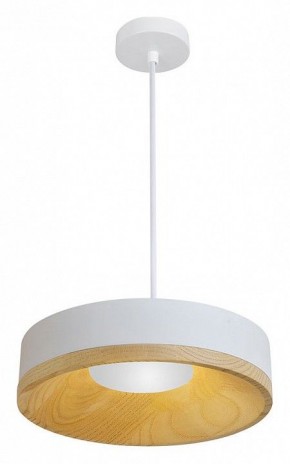 Подвесной светильник Divinare Vaso 5119/33 SP-8 в Приобье - priobie.ok-mebel.com | фото 2