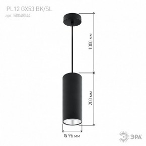 Подвесной светильник Эра  PL12 GX53 BK/SL в Приобье - priobie.ok-mebel.com | фото 8