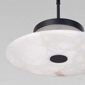 Подвесной светильник Eurosvet Thasos 40342 LED черный в Приобье - priobie.ok-mebel.com | фото 8