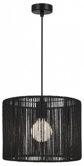Подвесной светильник EVOLUCE ETTAN SLE6024-403-01 в Приобье - priobie.ok-mebel.com | фото 2