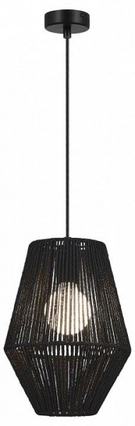 Подвесной светильник EVOLUCE ETTAN SLE6025-413-01 в Приобье - priobie.ok-mebel.com | фото 2