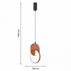 Подвесной светильник F-promo Grahan 4607-1P в Приобье - priobie.ok-mebel.com | фото 5