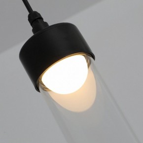 Подвесной светильник Favourite Outdoor 4702-1P в Приобье - priobie.ok-mebel.com | фото 7