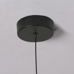 Подвесной светильник Favourite Wilet 4656-1P в Приобье - priobie.ok-mebel.com | фото 10