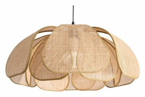 Подвесной светильник Freya Cocoon FR5529PL-01B в Приобье - priobie.ok-mebel.com | фото