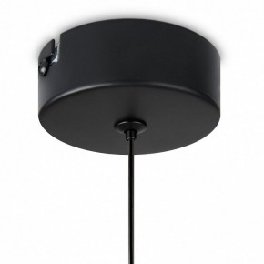 Подвесной светильник Freya Idol FR6134PL-L4SM в Приобье - priobie.ok-mebel.com | фото 8