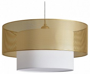 Подвесной светильник Freya Lattice FR5528PL-01BS в Приобье - priobie.ok-mebel.com | фото