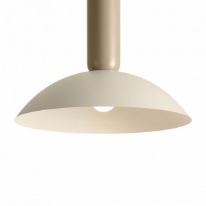 Подвесной светильник Freya Lotus FR5551PL-01CR в Приобье - priobie.ok-mebel.com | фото 10