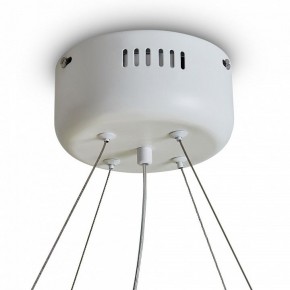 Подвесной светильник Freya Rain FR5546PL-L60W в Приобье - priobie.ok-mebel.com | фото 9