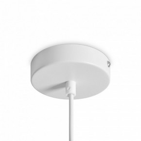 Подвесной светильник Freya Shapes FR5530PL-L10W в Приобье - priobie.ok-mebel.com | фото 5