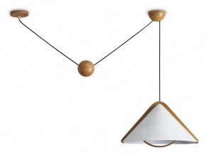 Подвесной светильник Freya Umbra FR5554CL-01T в Приобье - priobie.ok-mebel.com | фото