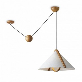 Подвесной светильник Freya Umbra FR5554CL-01T в Приобье - priobie.ok-mebel.com | фото 2