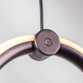 Подвесной светильник Lightstar Caramello 796329 в Приобье - priobie.ok-mebel.com | фото 10