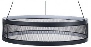 Подвесной светильник Lumion Felisiti 8103/38L в Приобье - priobie.ok-mebel.com | фото