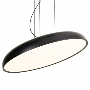 Подвесной светильник Lussole Crook LSP-7360 в Приобье - priobie.ok-mebel.com | фото